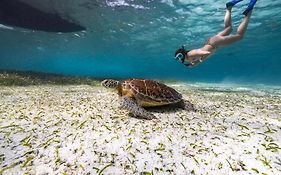 Ocean Tide Beach Resort